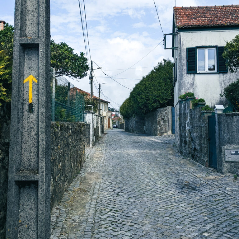 PXL_20250419_105633537