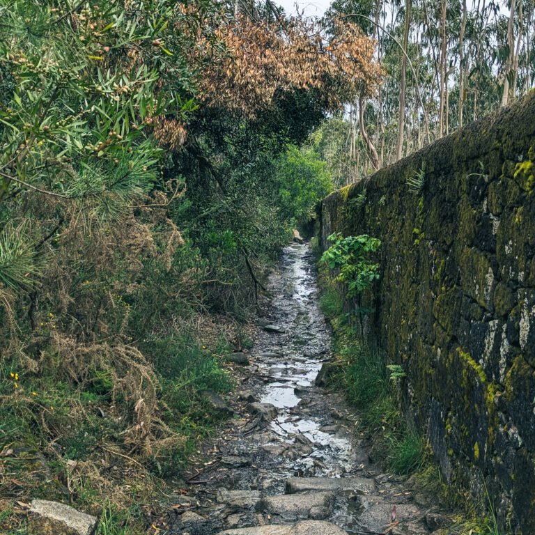 PXL_20250419_134329131