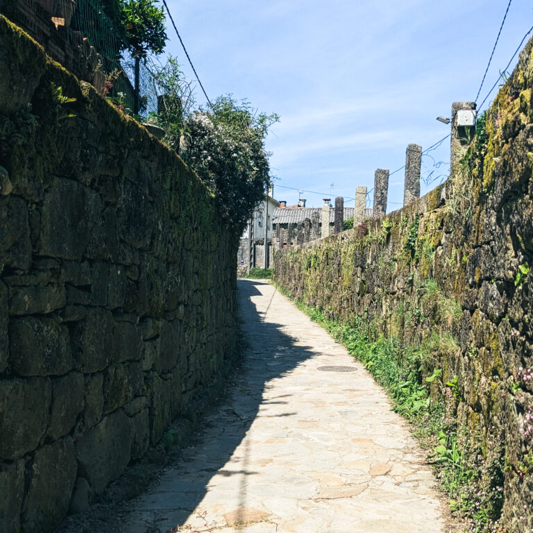 PXL_20250428_134040842